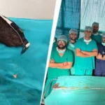 jaipur-310940903-16x9_0